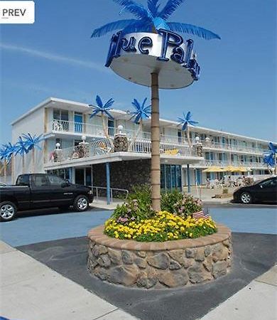 Blue Palms Resort ワイルドウッド エクステリア 写真