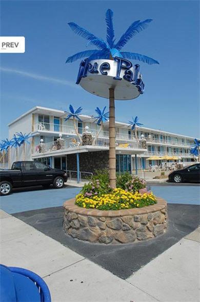 Blue Palms Resort ワイルドウッド エクステリア 写真
